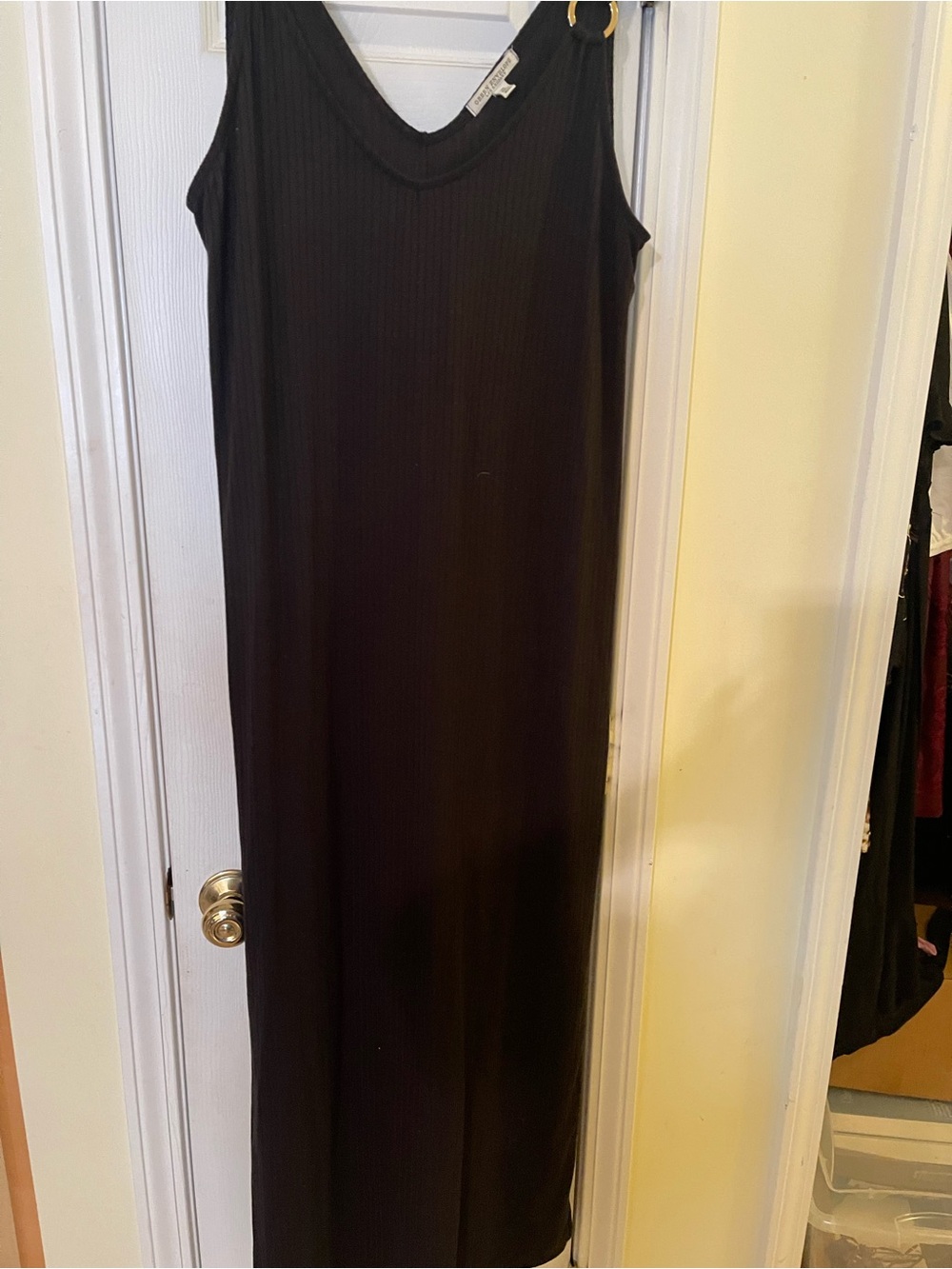 Long ladies dress